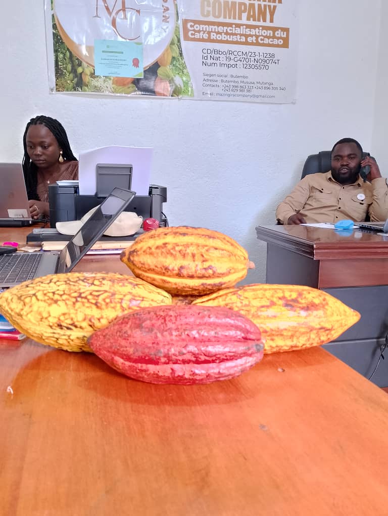 Au Bureau de MAZINGIRA 